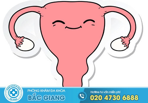 Phòng khám phụ khoa Quận 1 tốt và uy tín nhất hiện nay